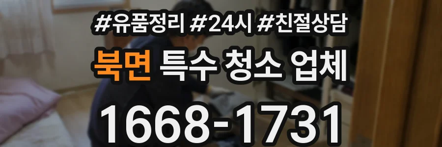 북면 특수 청소 업체