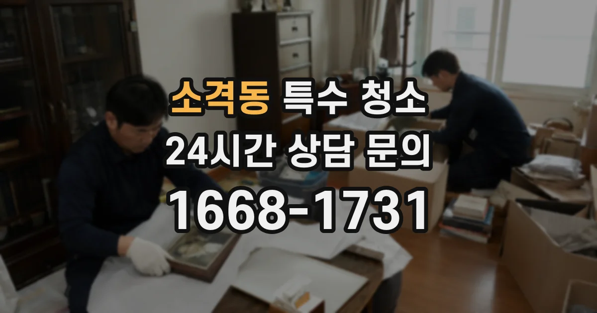 소격동 특수 청소