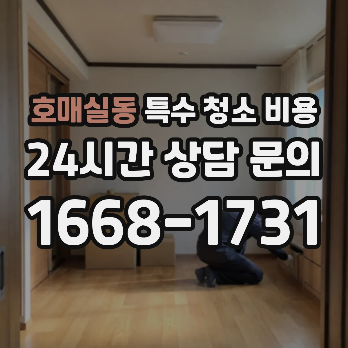 호매실동 특수 청소 비용