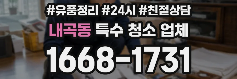 내곡동 특수 청소 업체