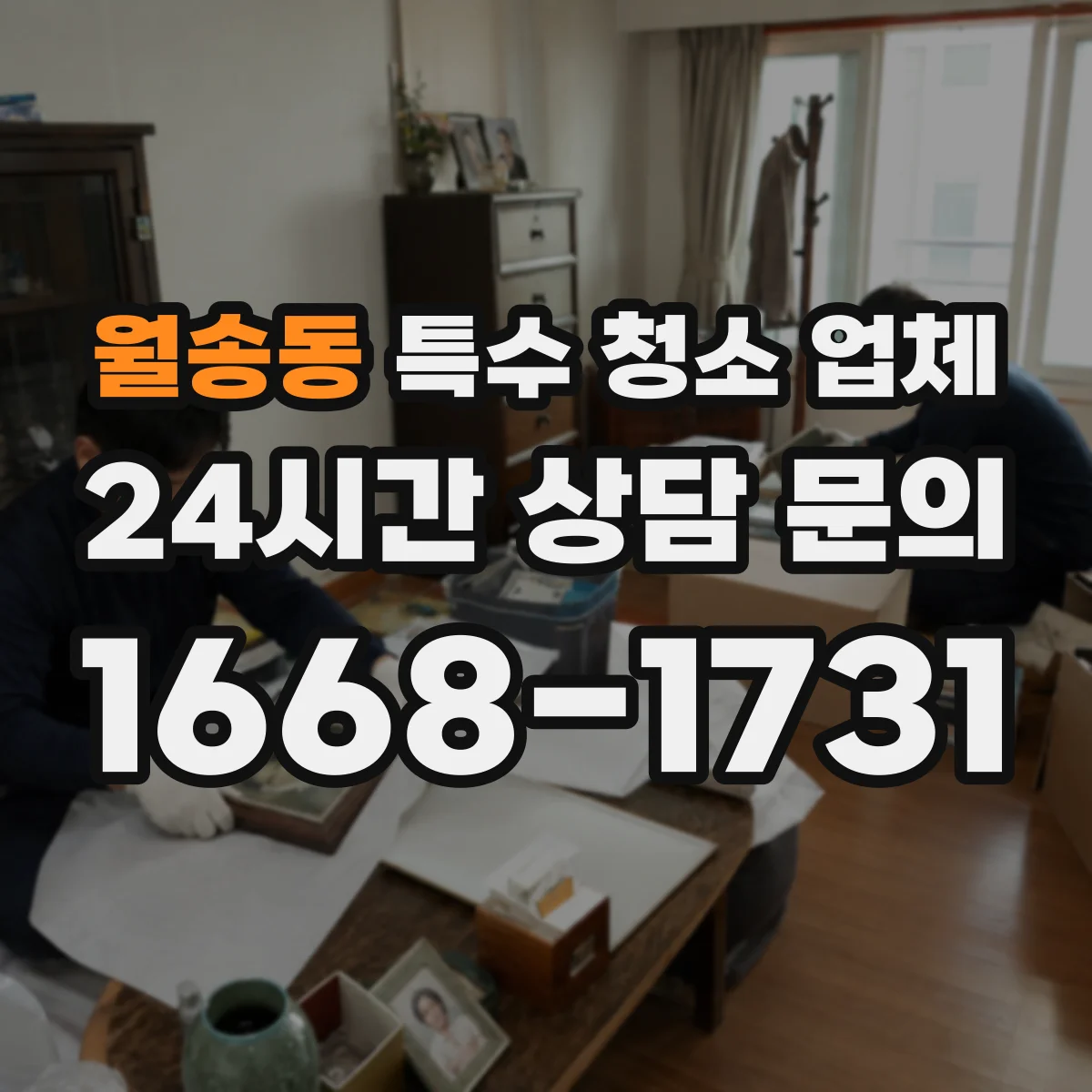 월송동 특수 청소 업체