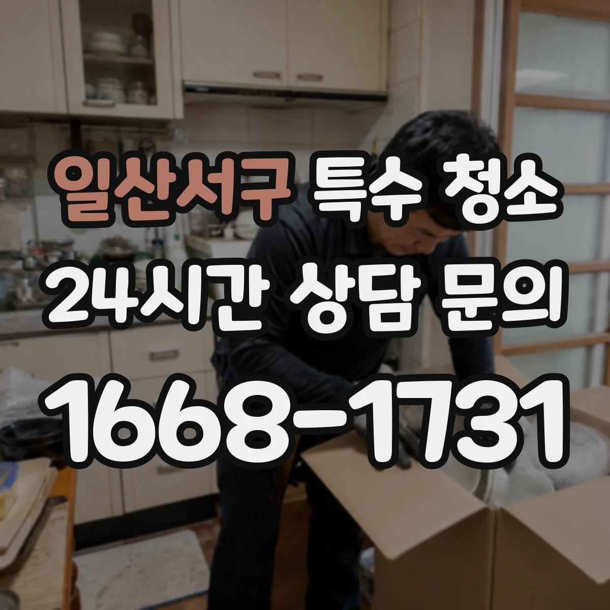 일산서구 특수 청소