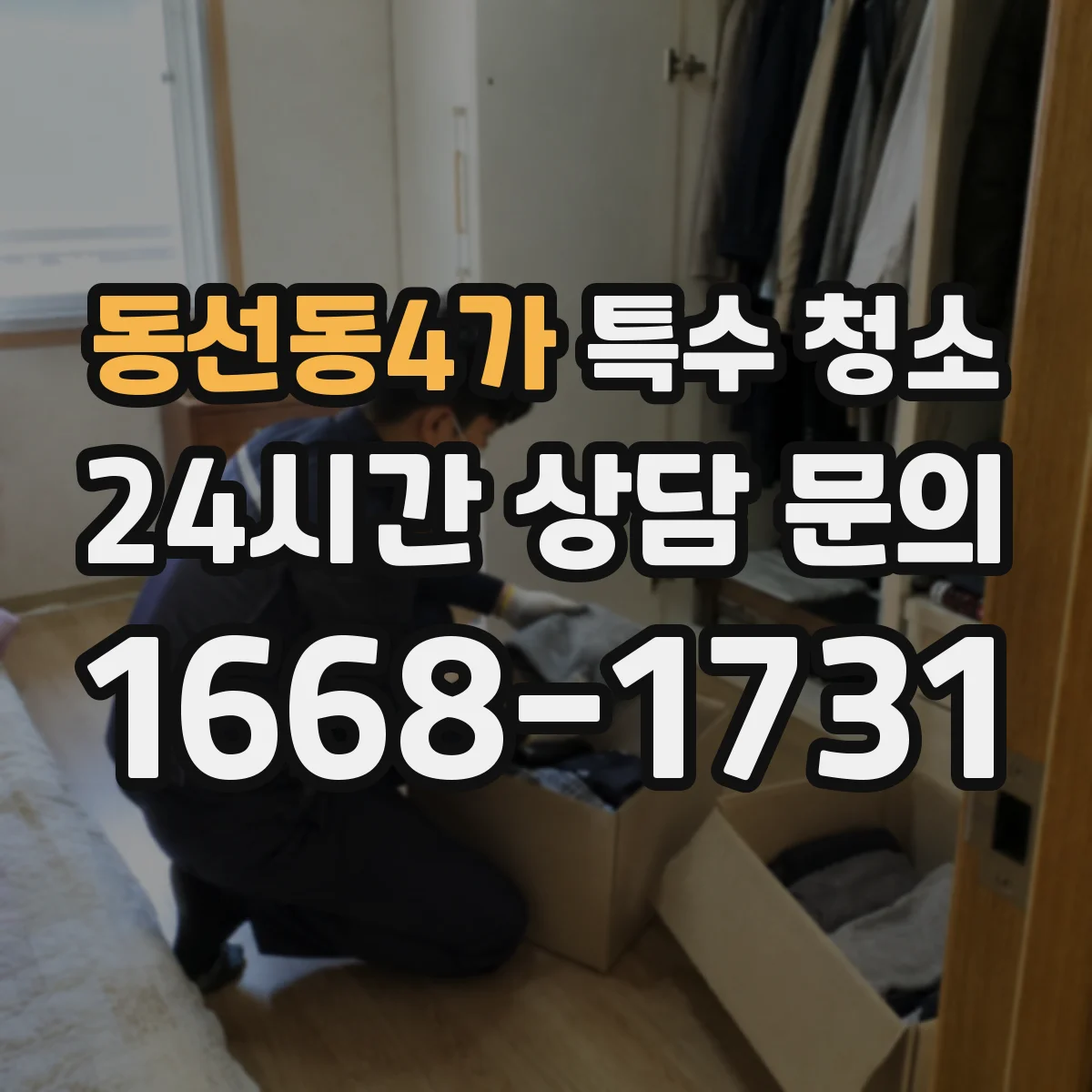 동선동4가 특수 청소