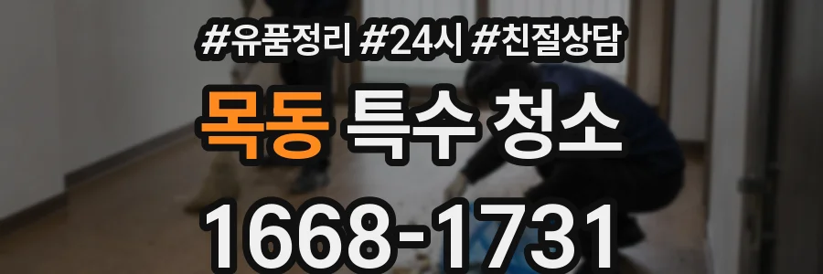 목동 특수 청소