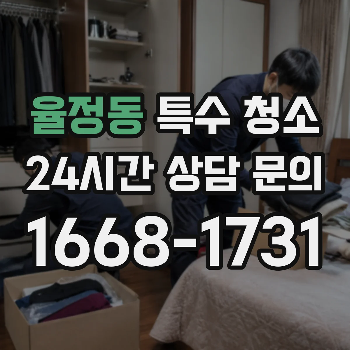 율정동 특수 청소