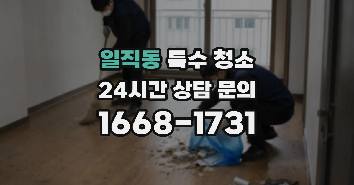일직동 특수 청소