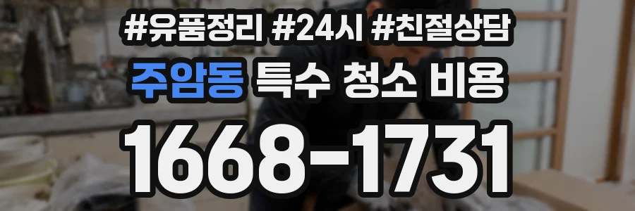 주암동 특수 청소 비용