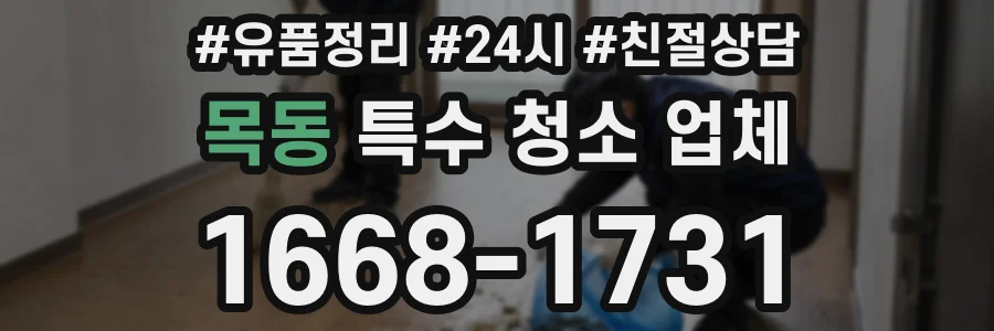 목동 특수 청소 업체