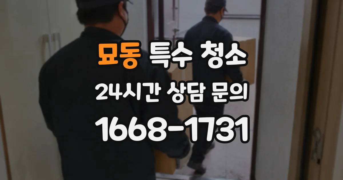 묘동 특수 청소