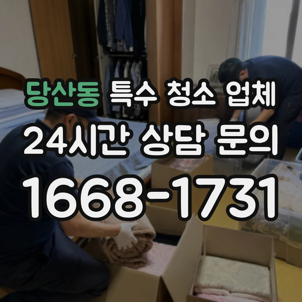 당산동 특수 청소 업체
