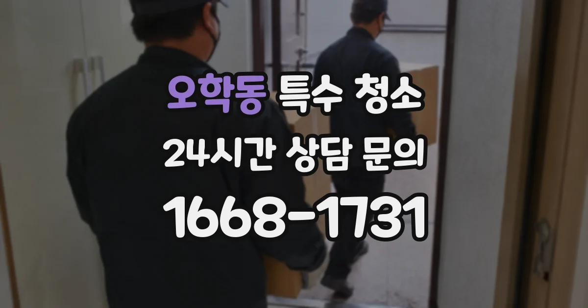오학동 특수 청소