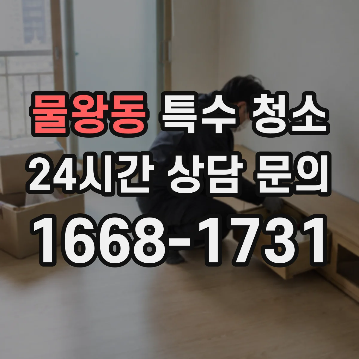 물왕동 특수 청소