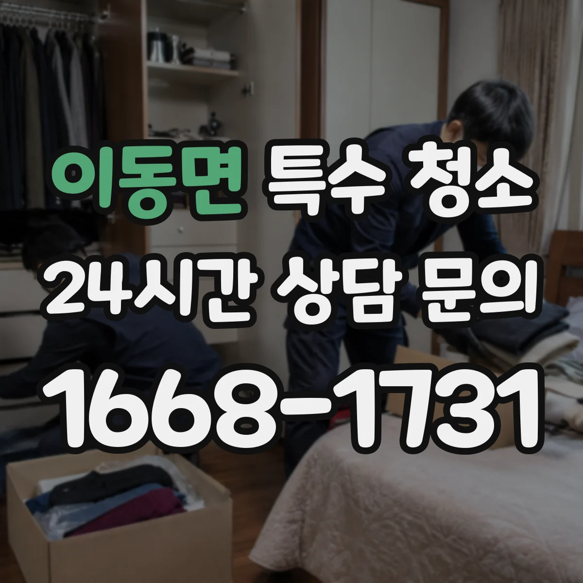 이동면 특수 청소
