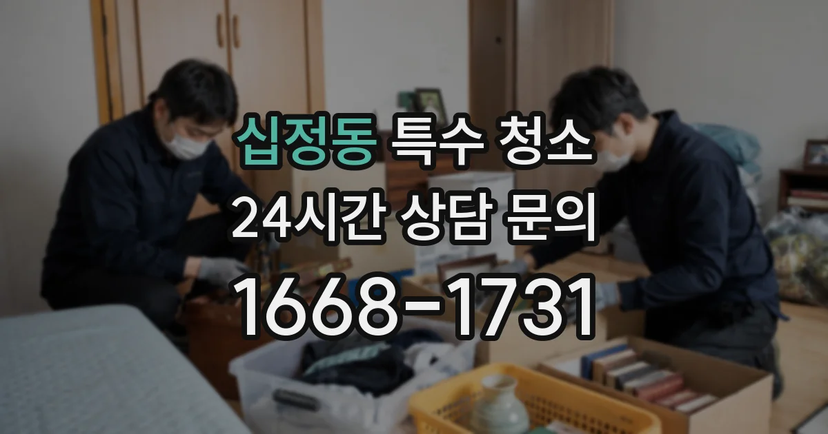 십정동 특수 청소