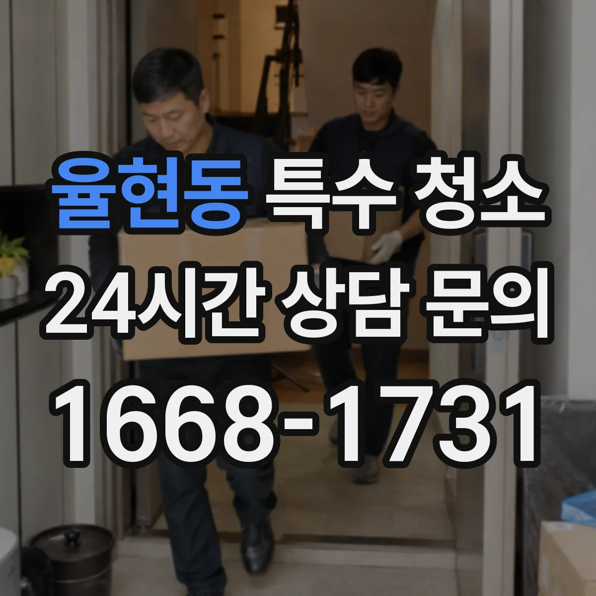 율현동 특수 청소