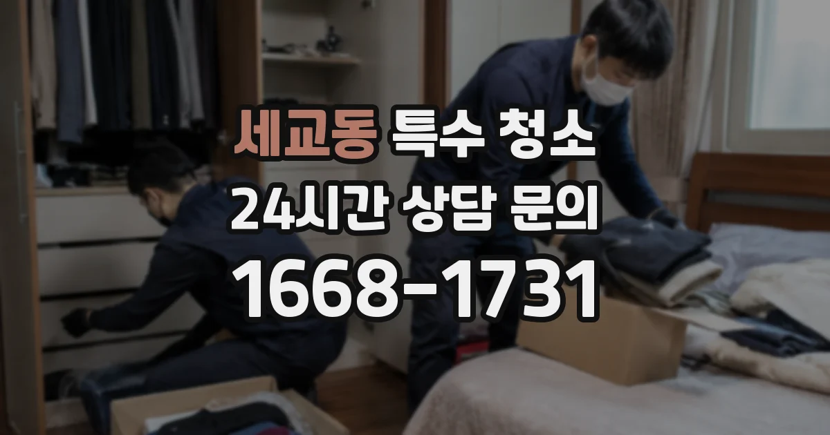 세교동 특수 청소