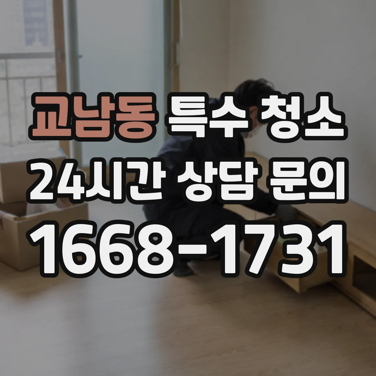 교남동 특수 청소