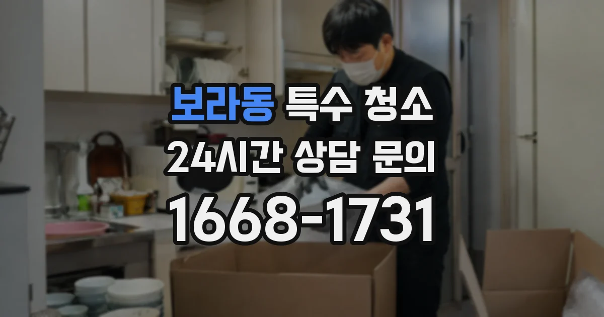 보라동 특수 청소