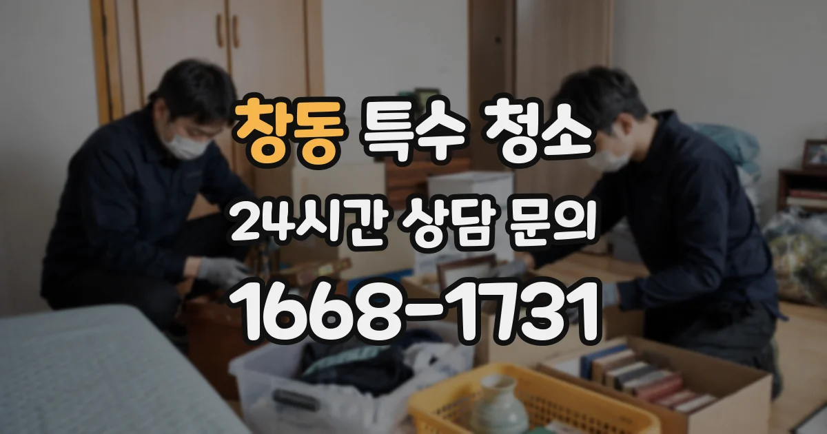 창동 특수 청소