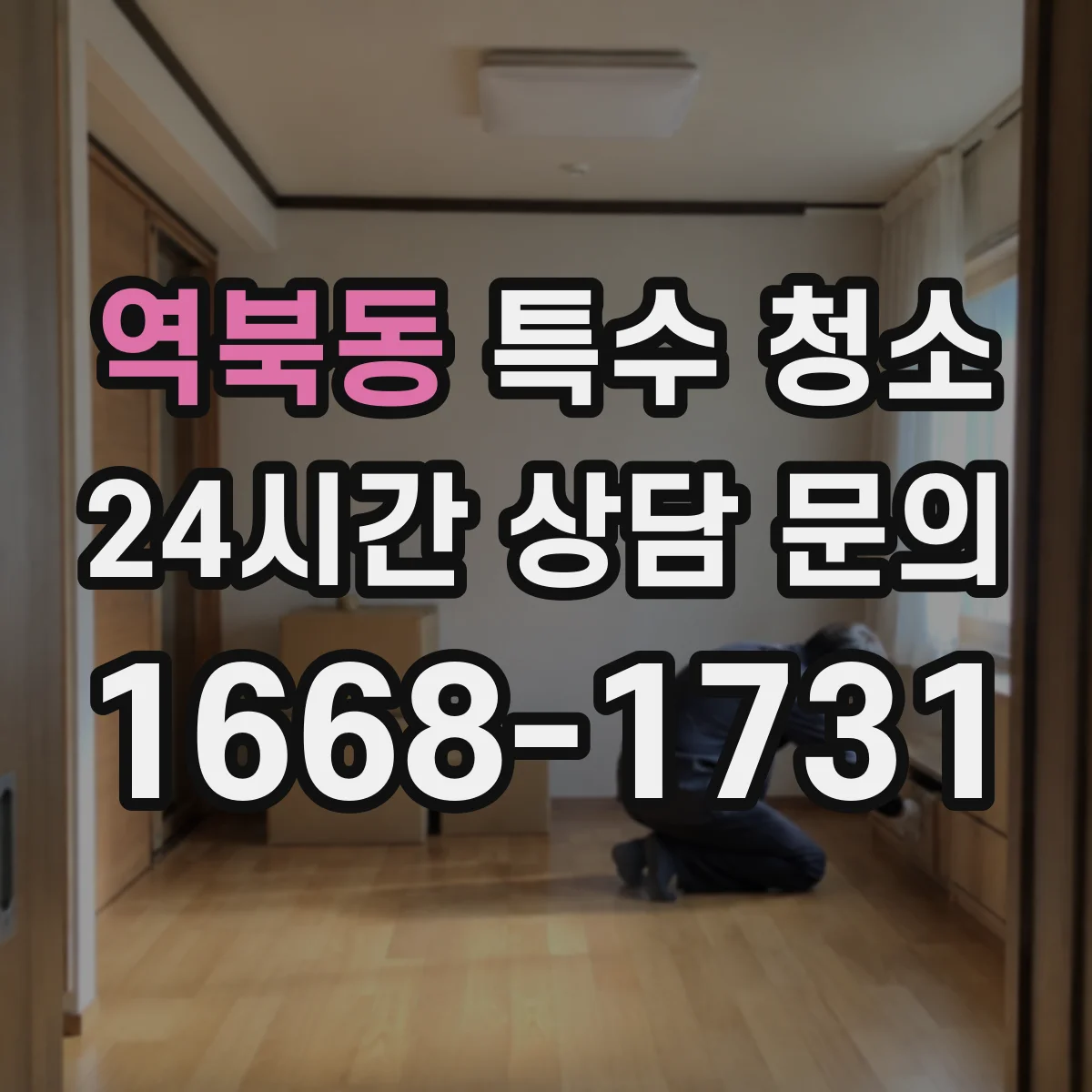 역북동 특수 청소