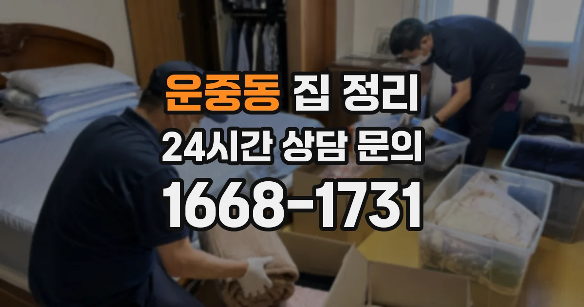운중동 집 정리