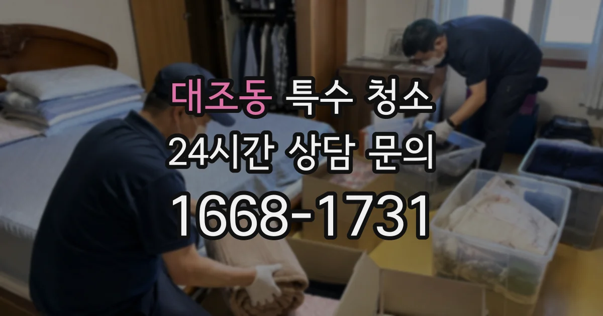 대조동 특수 청소