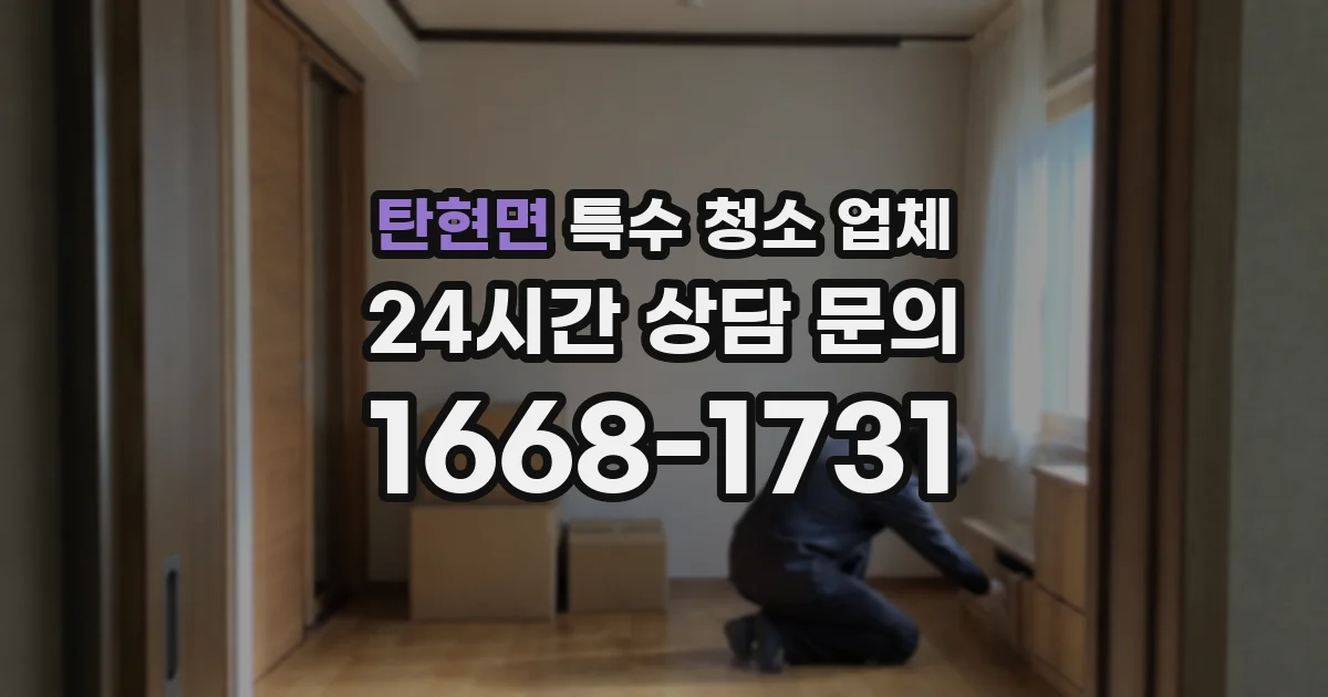 탄현면 특수 청소 업체