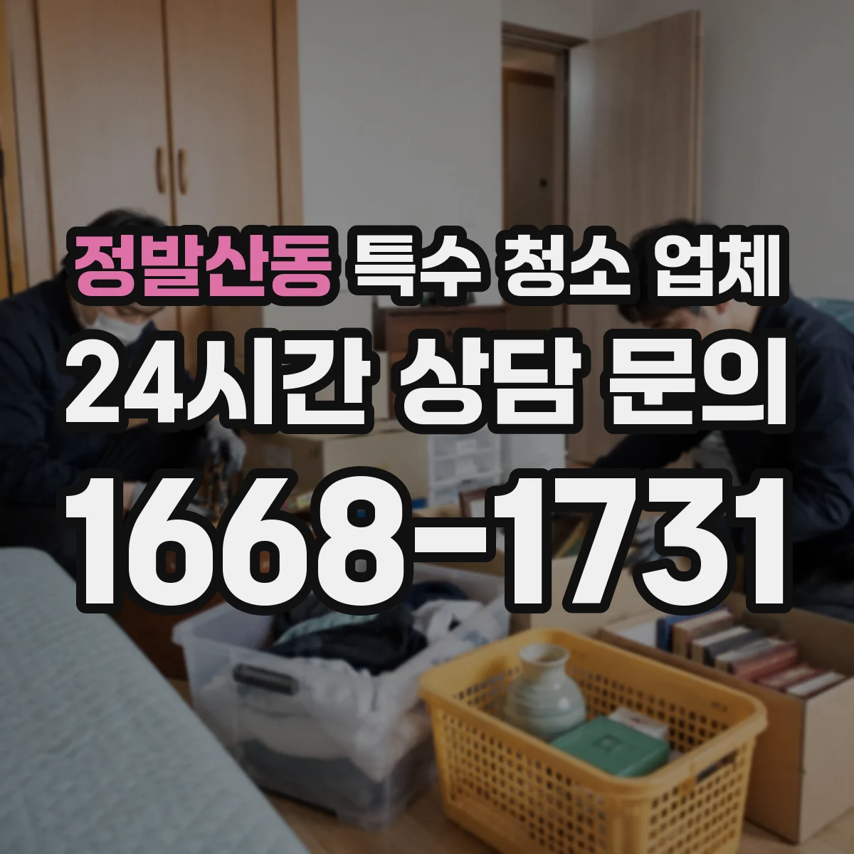 정발산동 특수 청소 업체