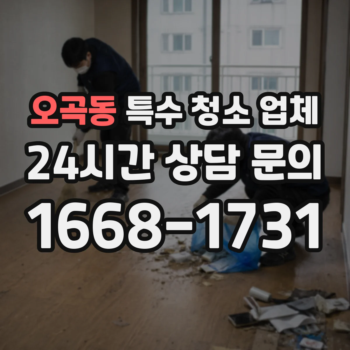 오곡동 특수 청소 업체