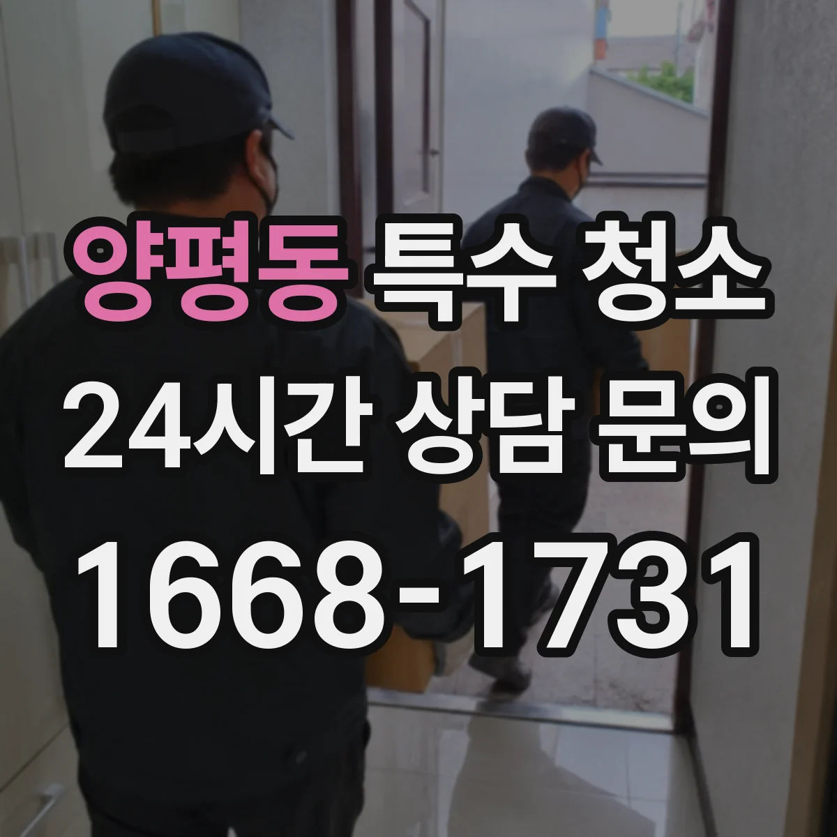 양평동 특수 청소