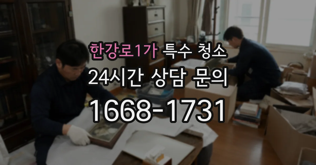 한강로1가 특수 청소
