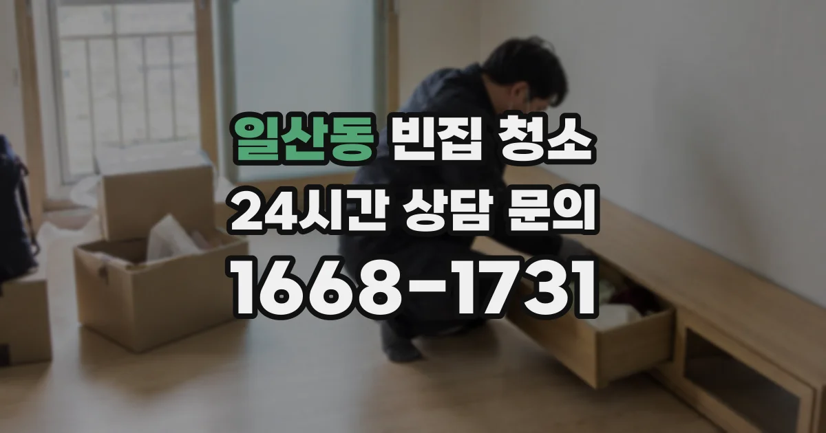 일산동 빈집 청소