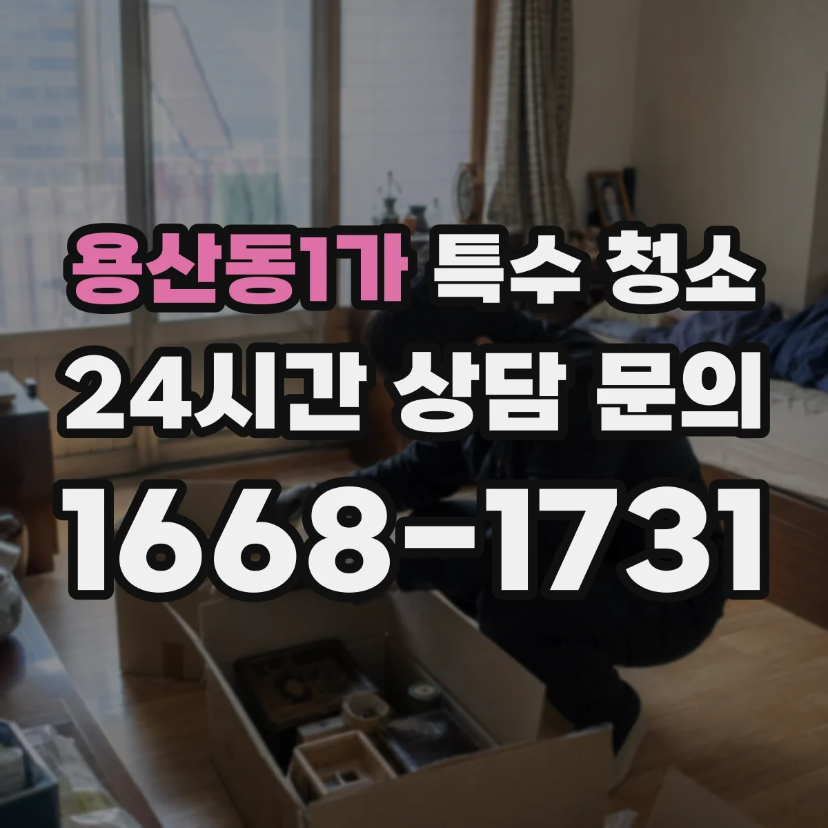 용산동1가 특수 청소