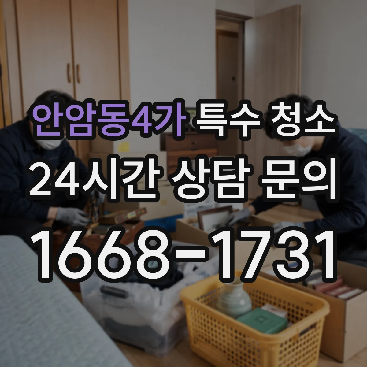 안암동4가 특수 청소
