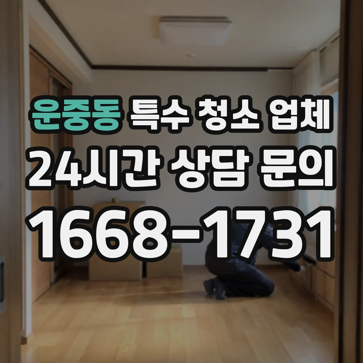 운중동 특수 청소 업체