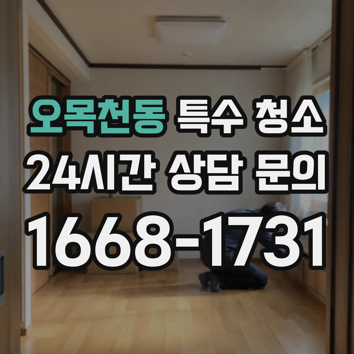 오목천동 특수 청소