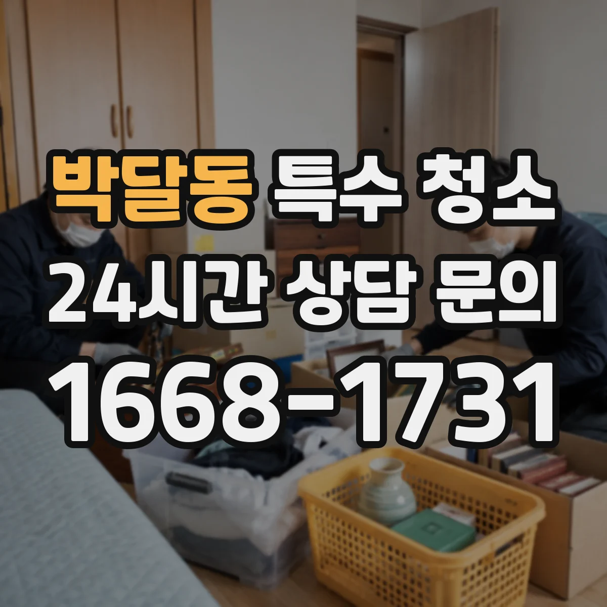 박달동 특수 청소