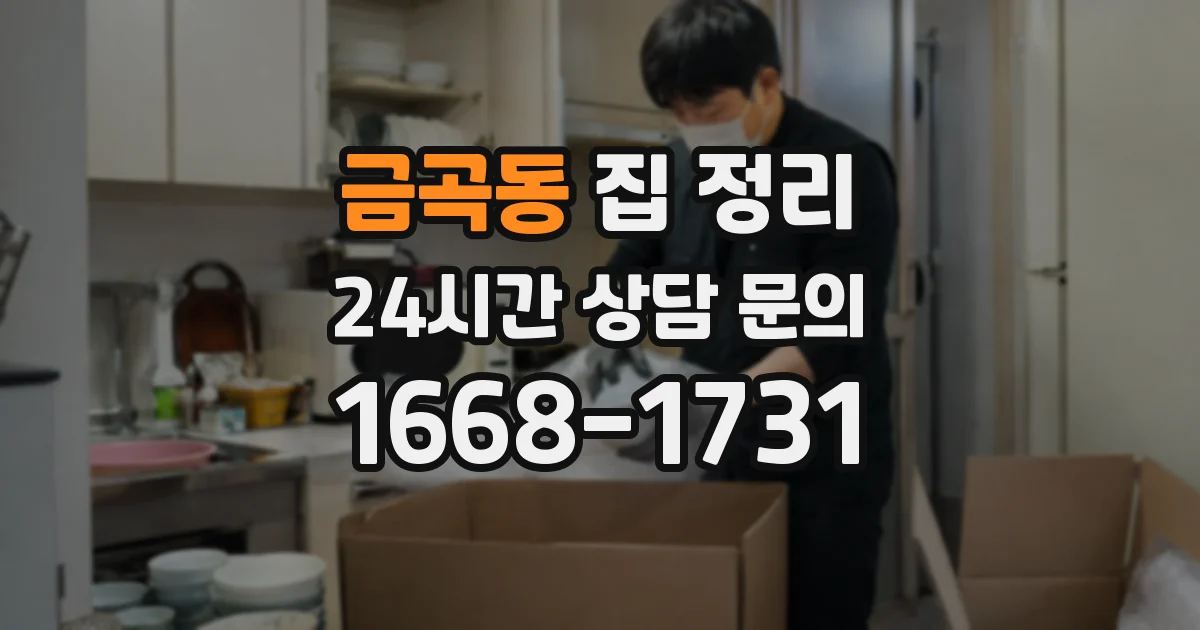 금곡동 집 정리