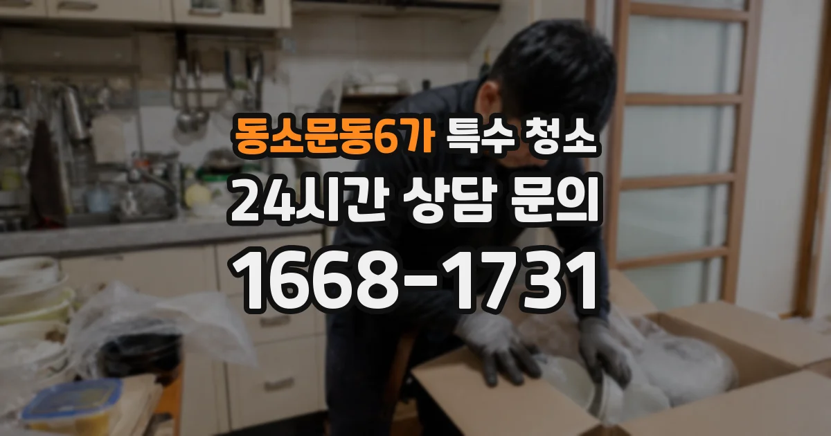 동소문동6가 특수 청소