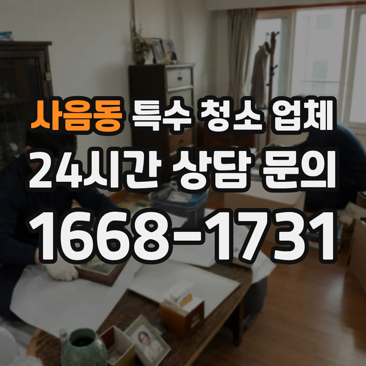 사음동 특수 청소 업체