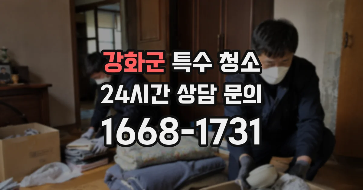 강화군 특수 청소