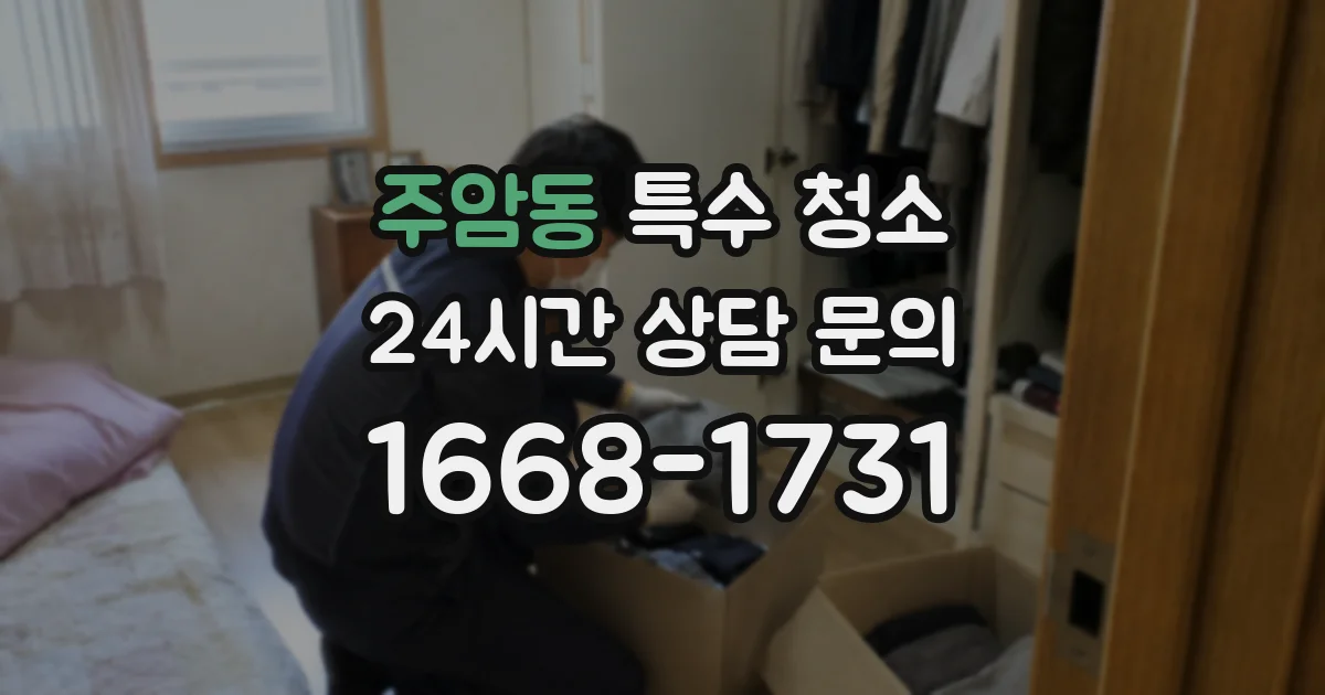 주암동 특수 청소