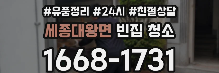 세종대왕면 빈집 청소