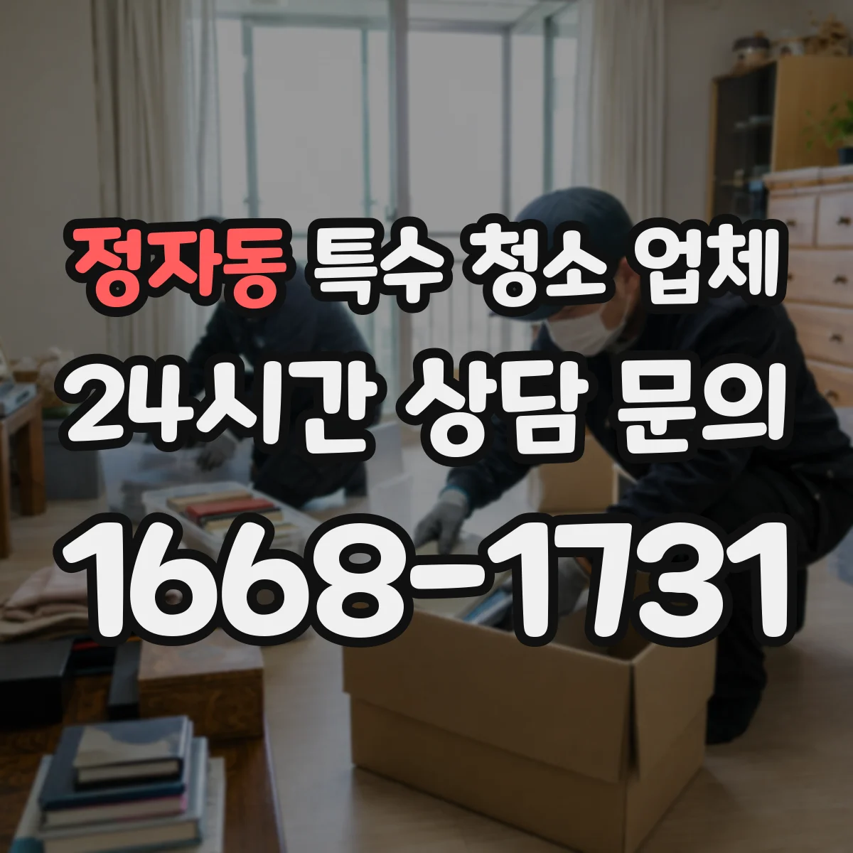 정자동 특수 청소 업체