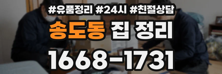 송도동 집 정리