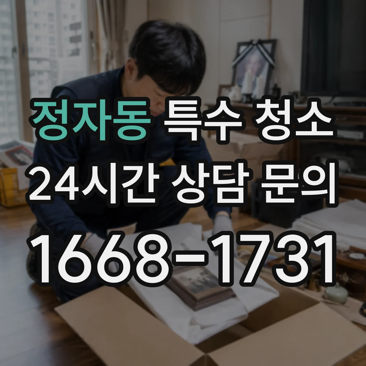 정자동 특수 청소