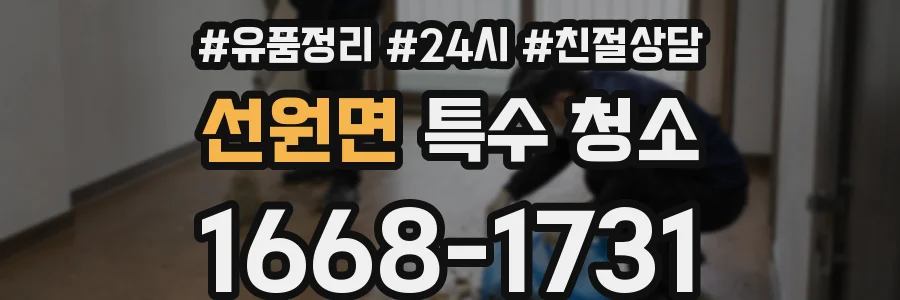 선원면 특수 청소