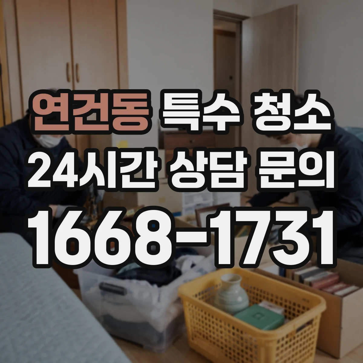 연건동 특수 청소