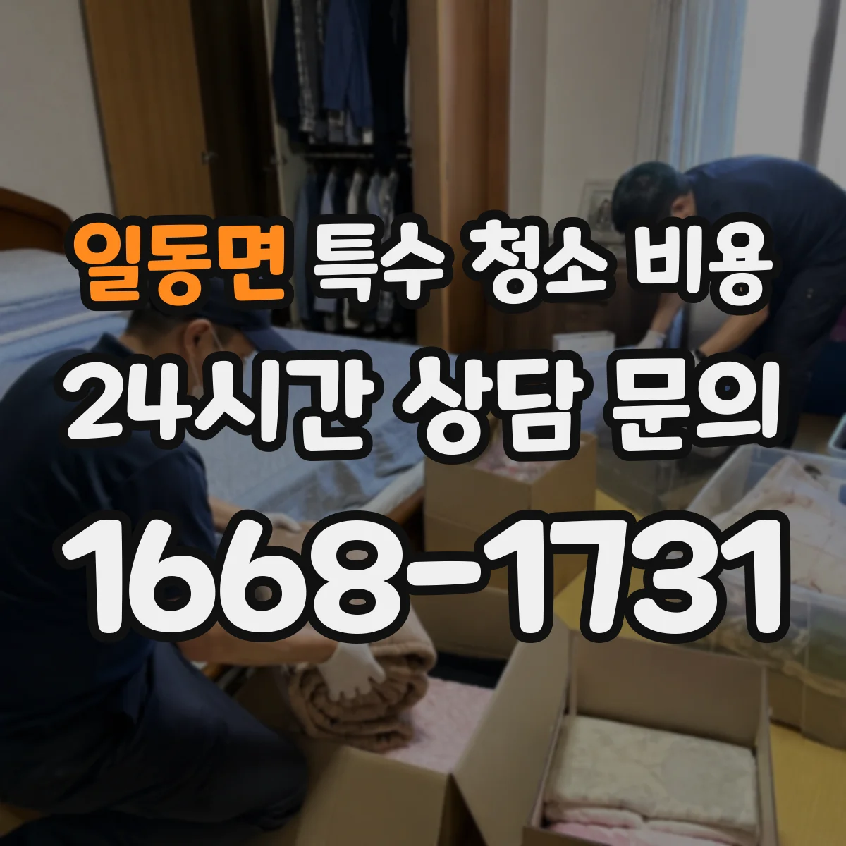일동면 특수 청소 비용