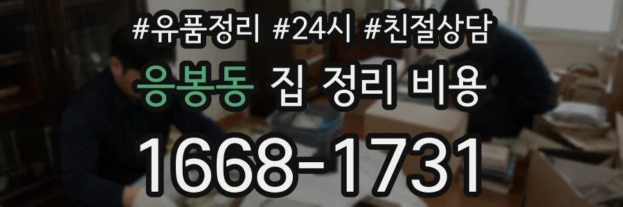 응봉동 집 정리 비용